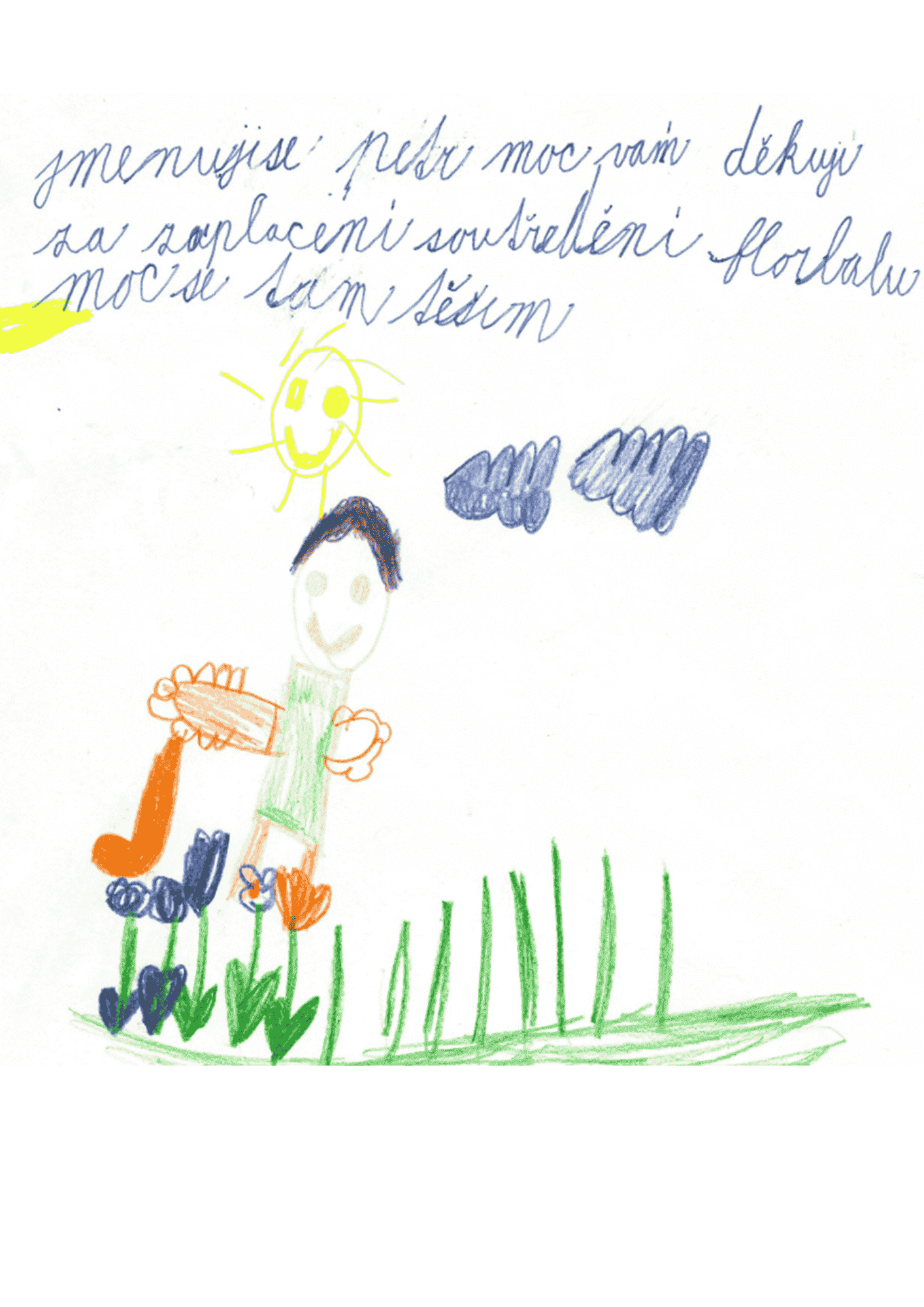 Petr_florbal.png